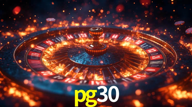 pg30 App Interface